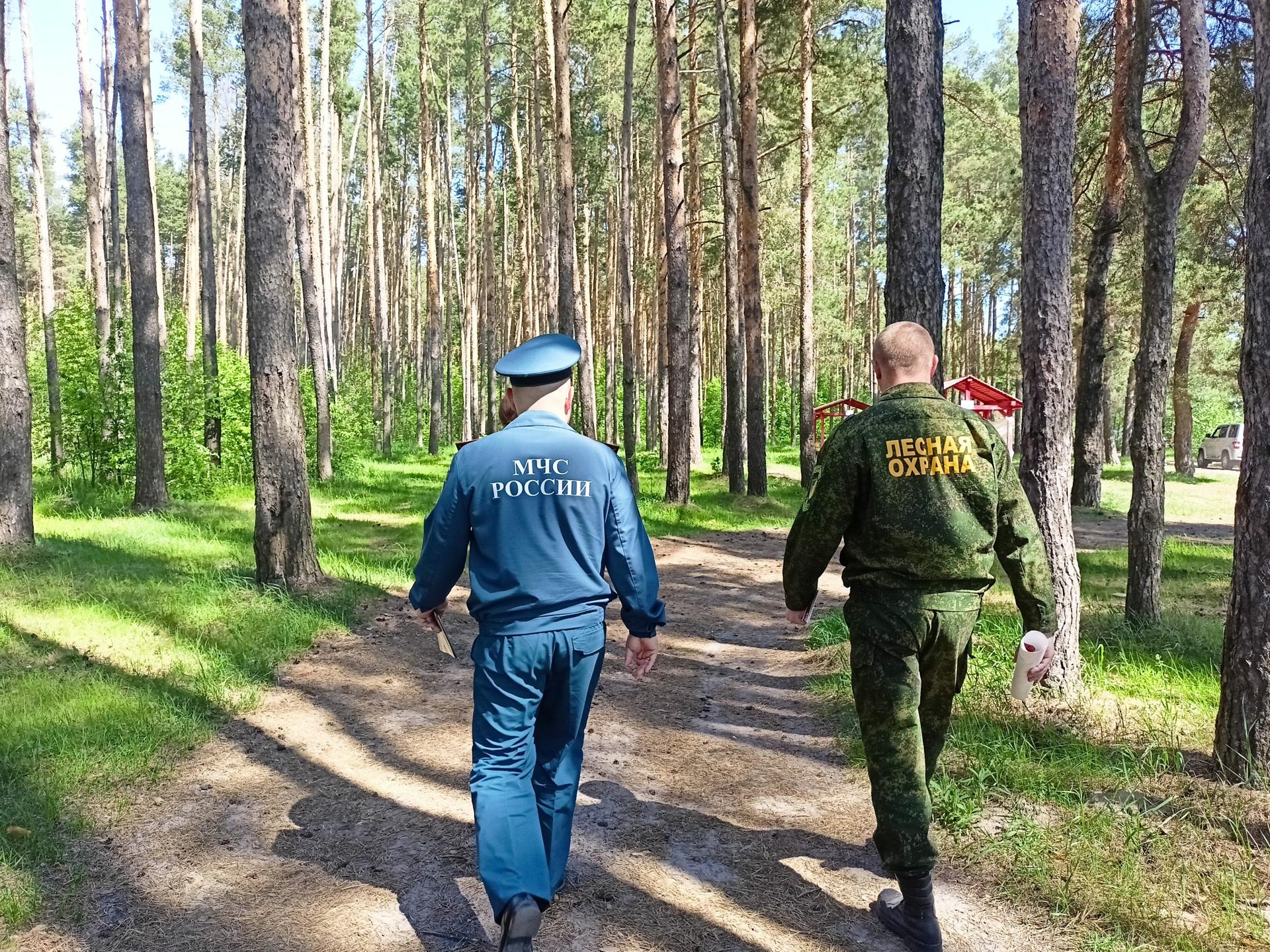 Фото: Комитет лесного хозяйства Московской области