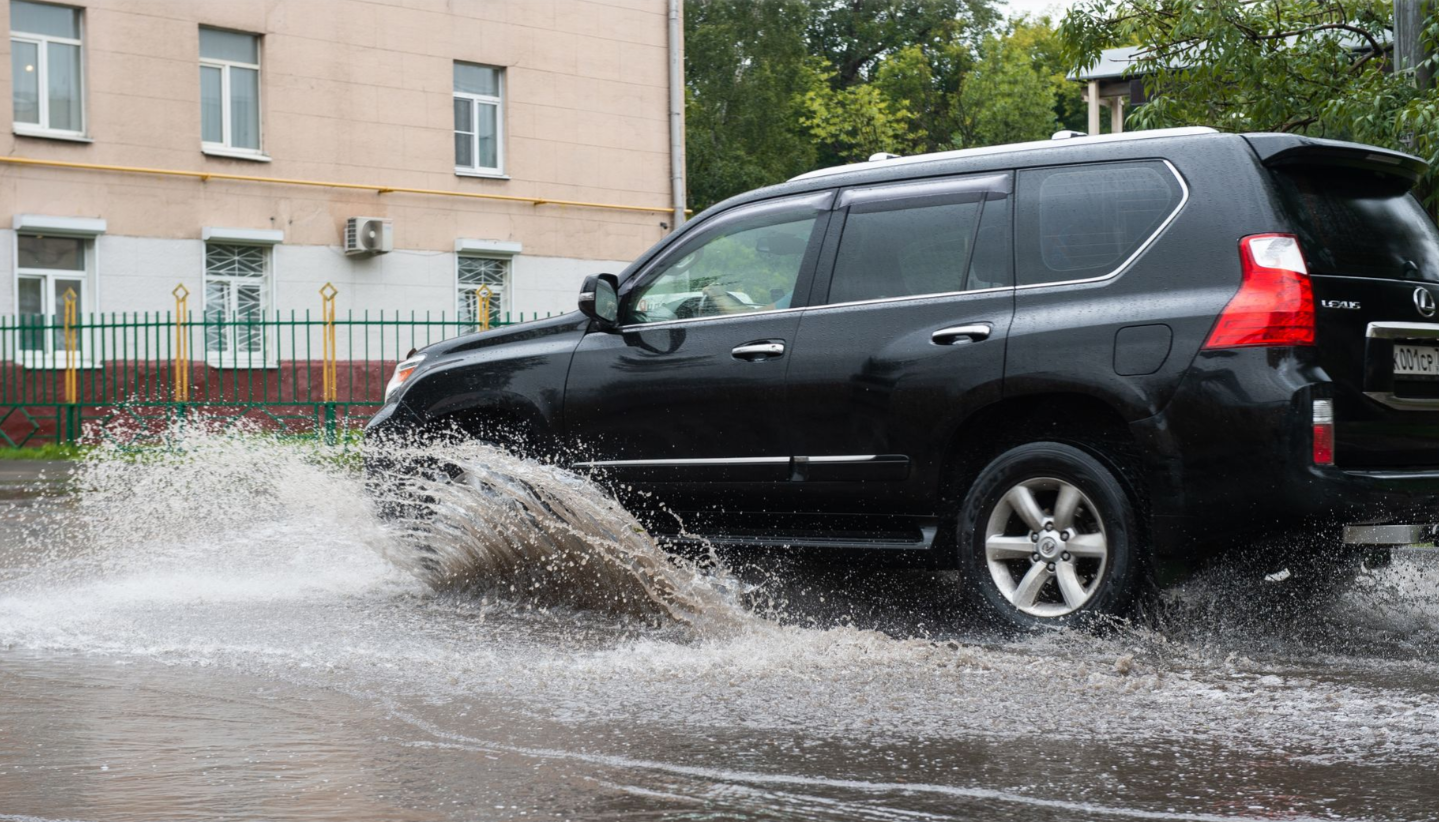 Фото: Медиаархив Подмосковья 