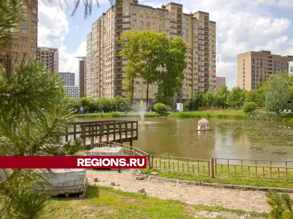 Фото: REGIONS/Дмитрий Белицкий