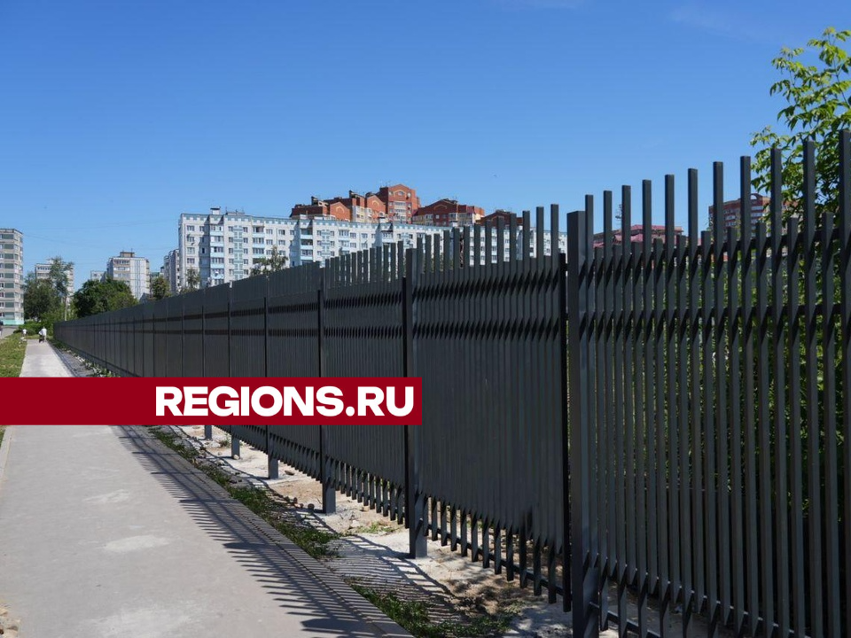 Фото: Дмитрий Зайчиков