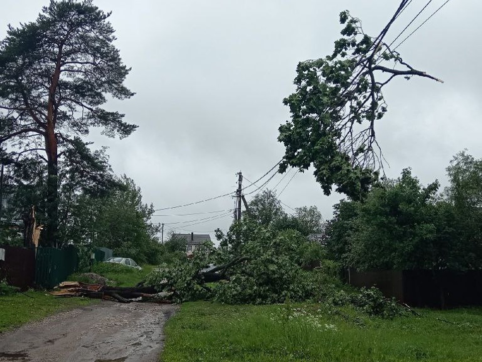 Фото: Дмитрий Палагин