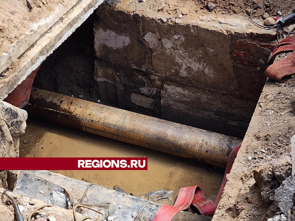 Фото: Валерия Тингаева