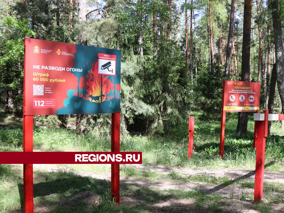 Фото: Василий Тремасов / Regions