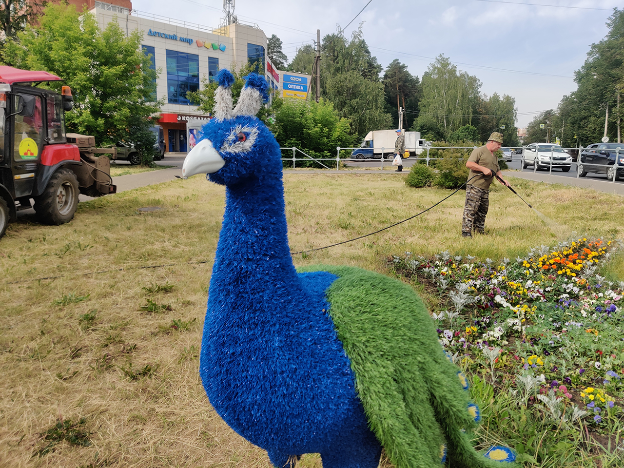 Фото: REGIONS/Екатерина Мелкозерова