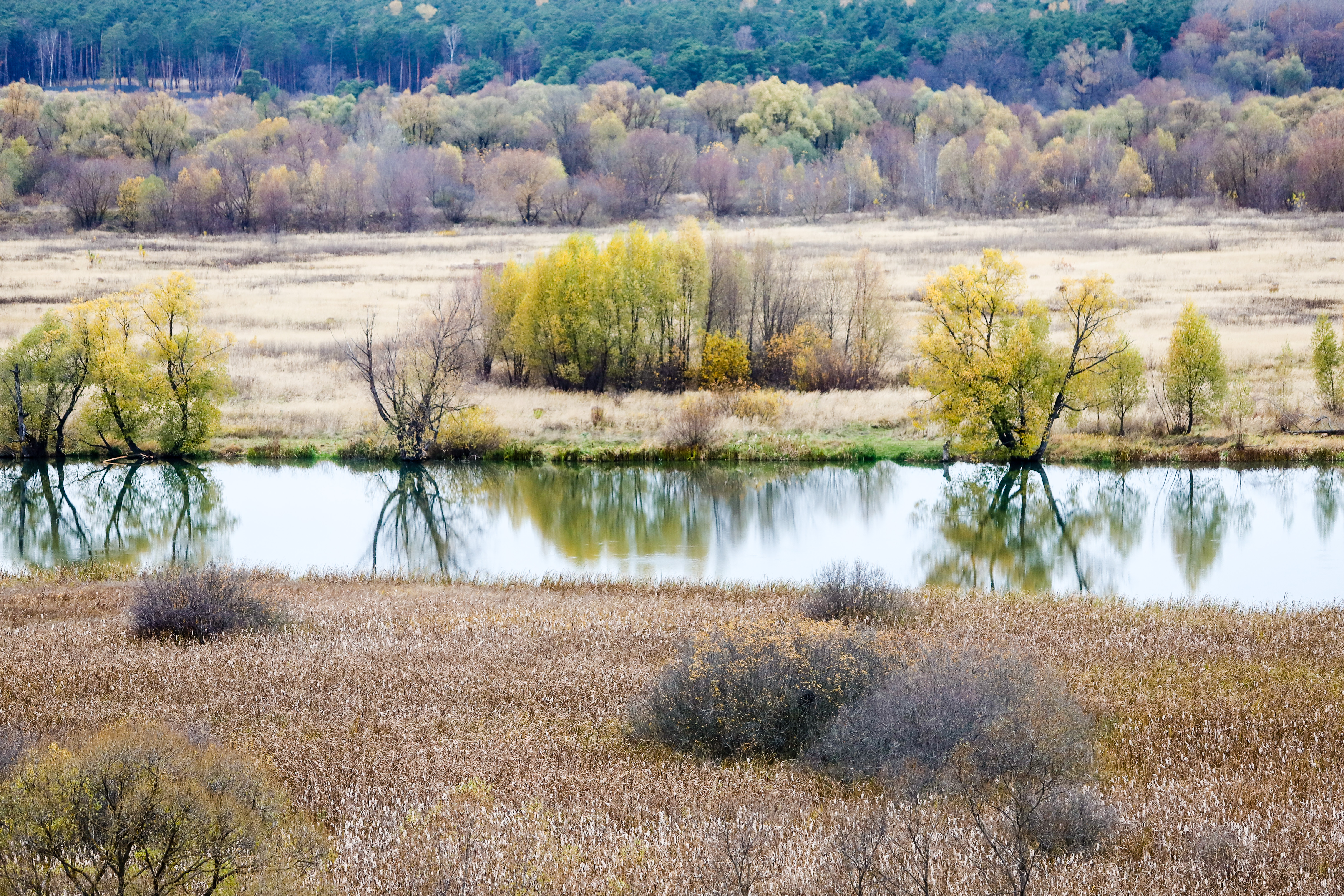 Фото: Анна Реппель