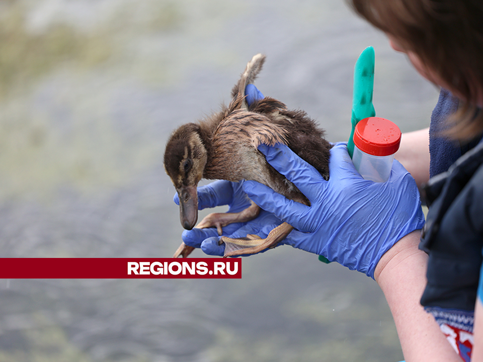 Фото: Ольга Пятикрестовская