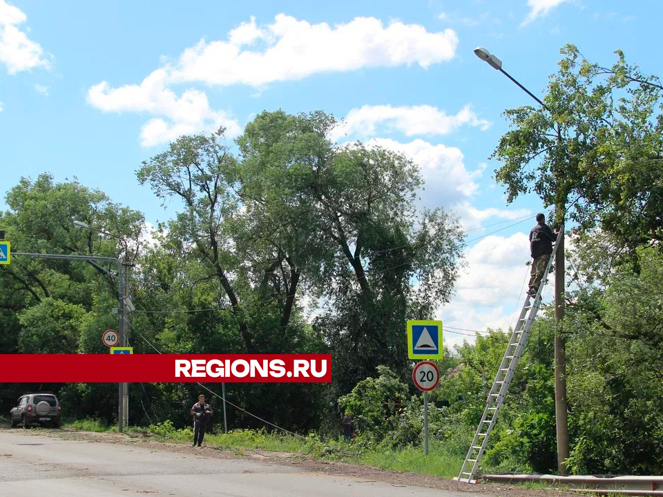 Фото: REGIONS/Василий Тремасов