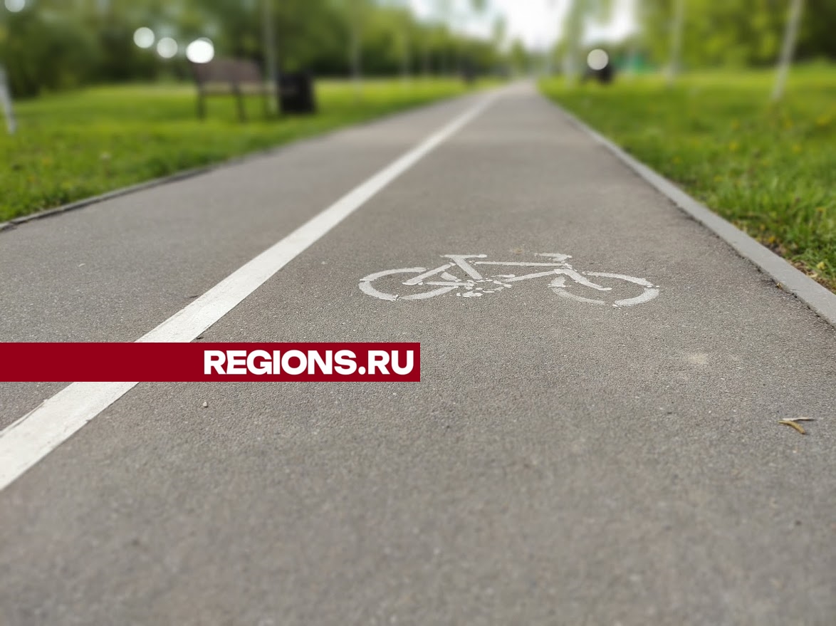 Фото: REGIONS.RU/Алексей Селиверстов