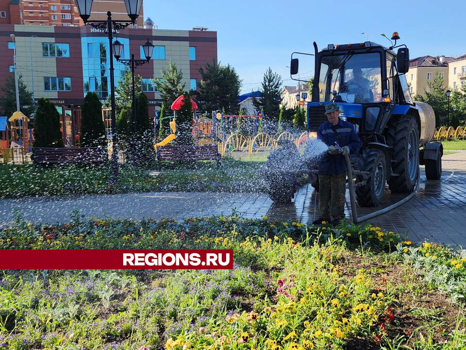 Фото: Валерия Тингаева