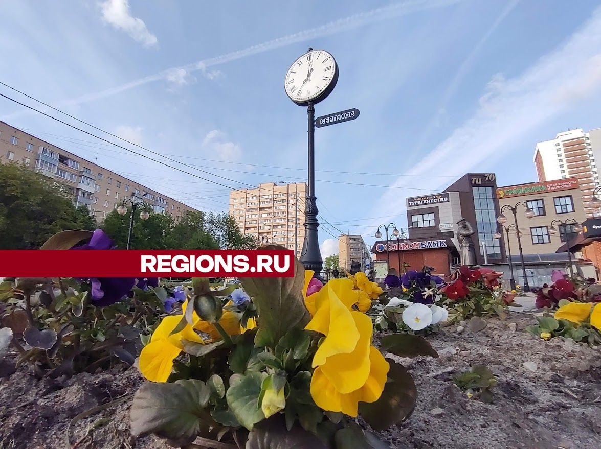 Фото: REGIONS.RU/Алексей Селиверстов