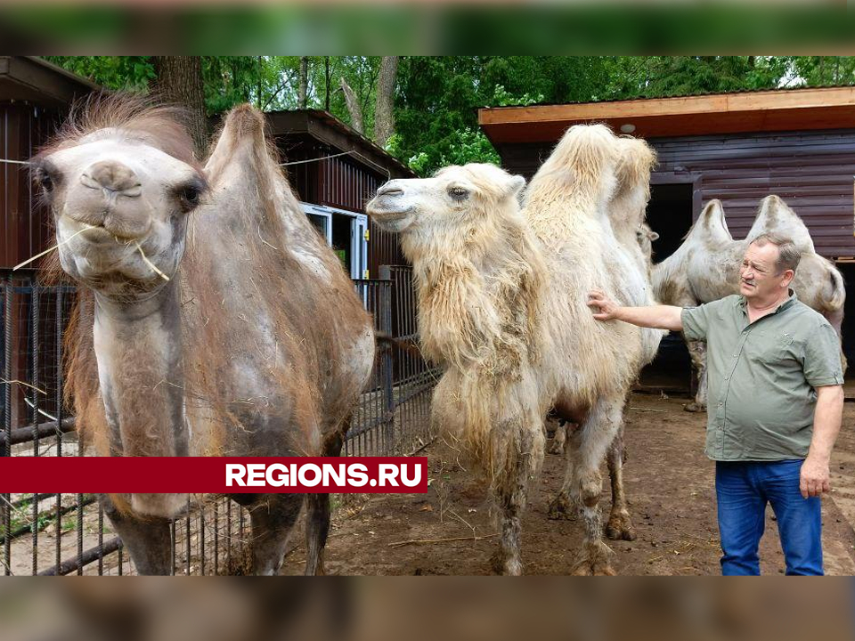 Фото: REGIONS/Евгений Рой