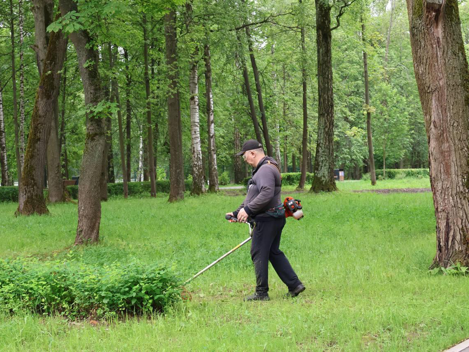 Сотрудникам ступинского парка поручили привести в порядок его территорию |  REGIONS.RU / Ступино