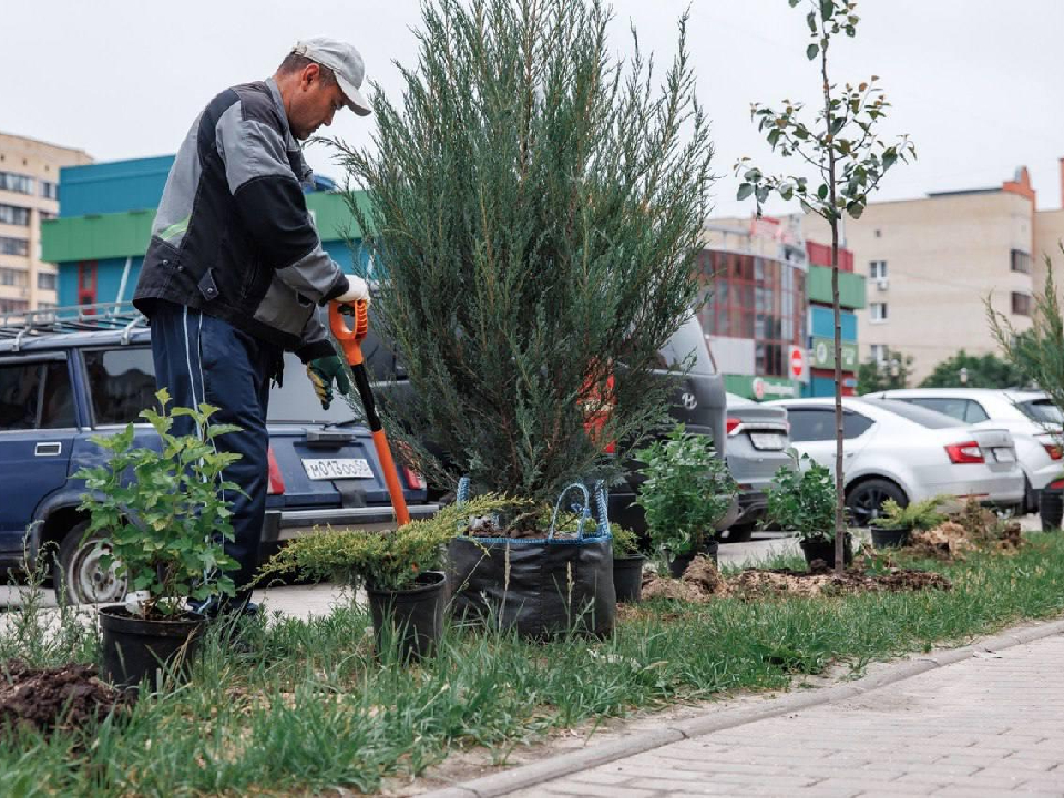 Фото: пресс-служба Администрации городского округа Дубна