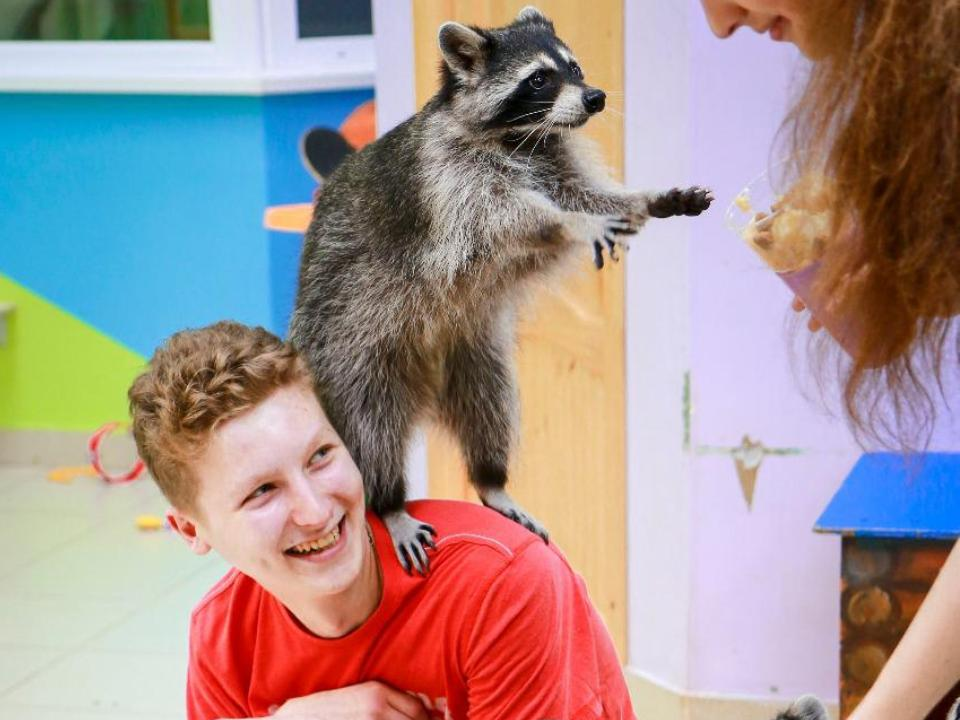 Фото: Официальный сайт "Планета енотов"