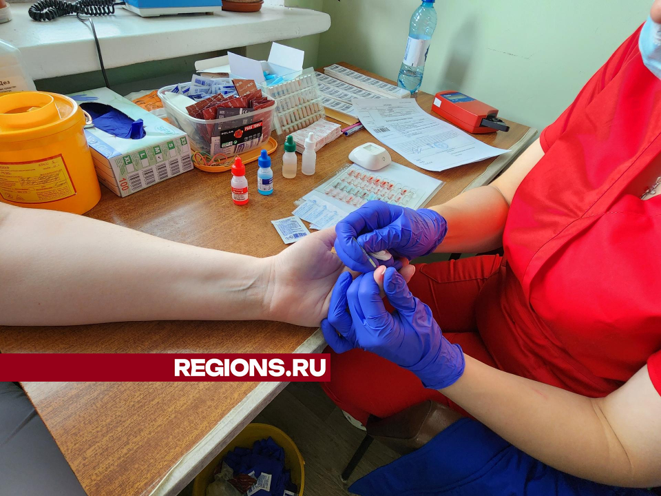 Фото: Екатерина Мелкозерова 