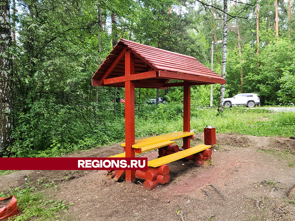 Фото: REGIONS/Ольга Шеметова