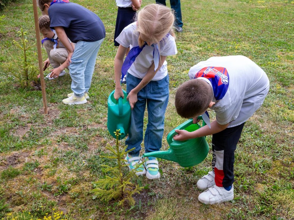 Фото: t.me/podolskadm