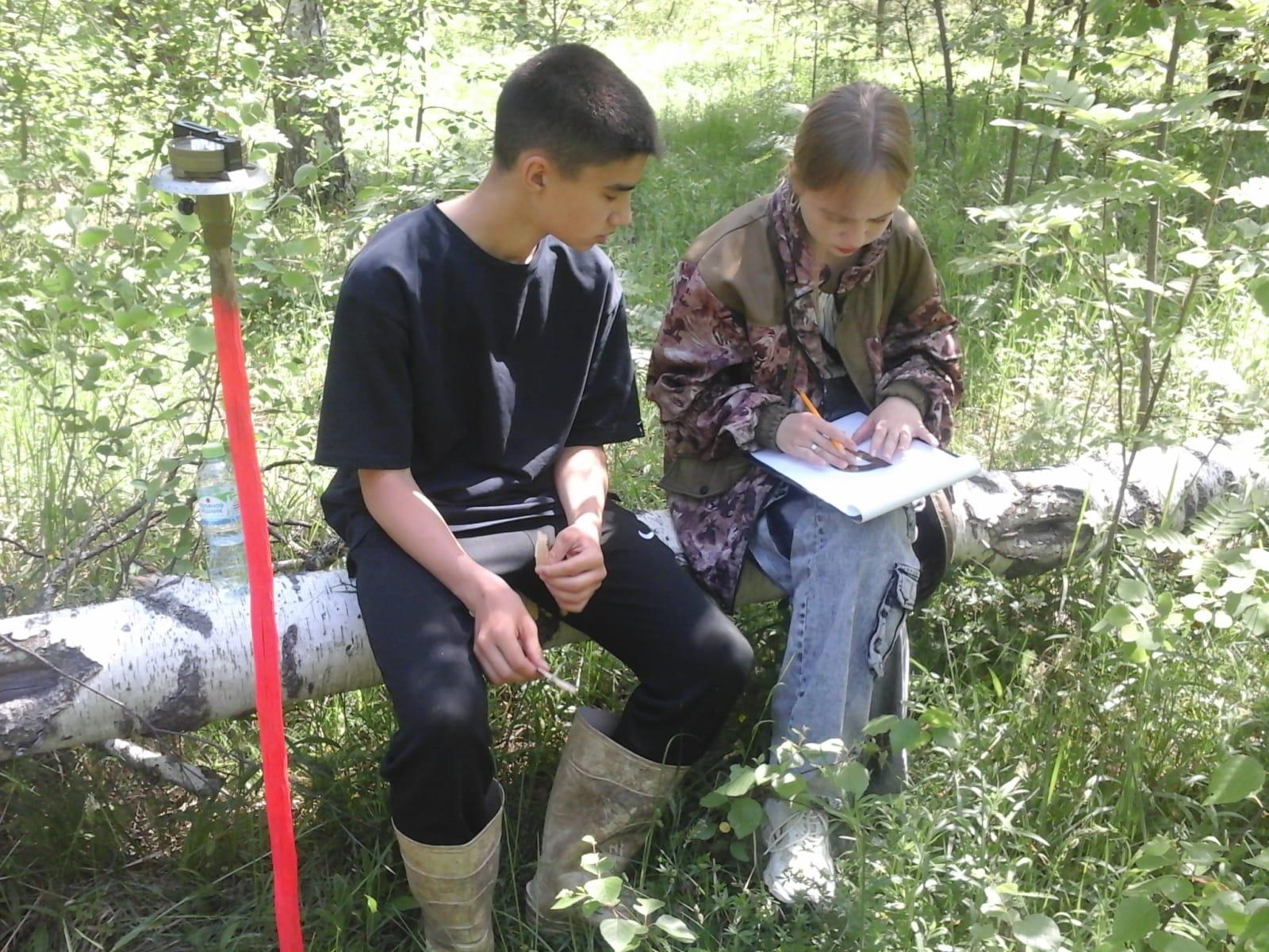 Фото: Комитет лесного хозяйства Московской области  