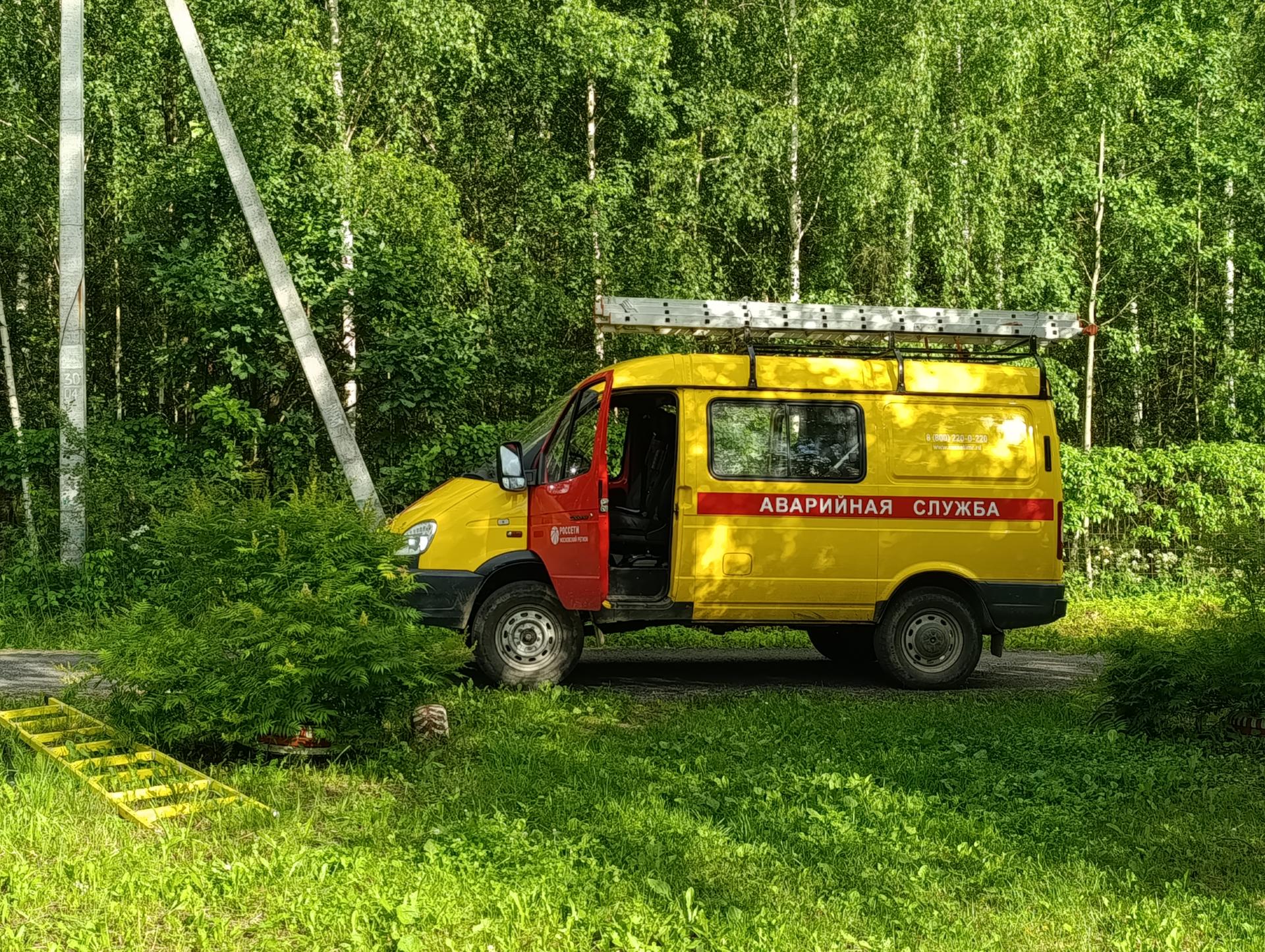 Фото: Ольга Антонова