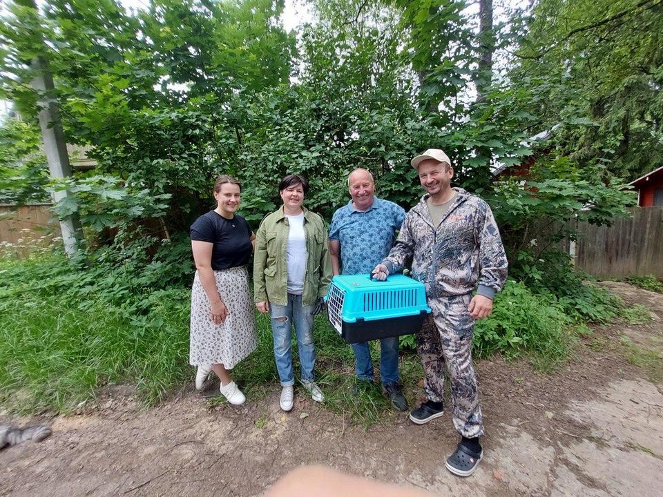 Фото: Пресс-служба Министерства экологии и природопользования Московской области