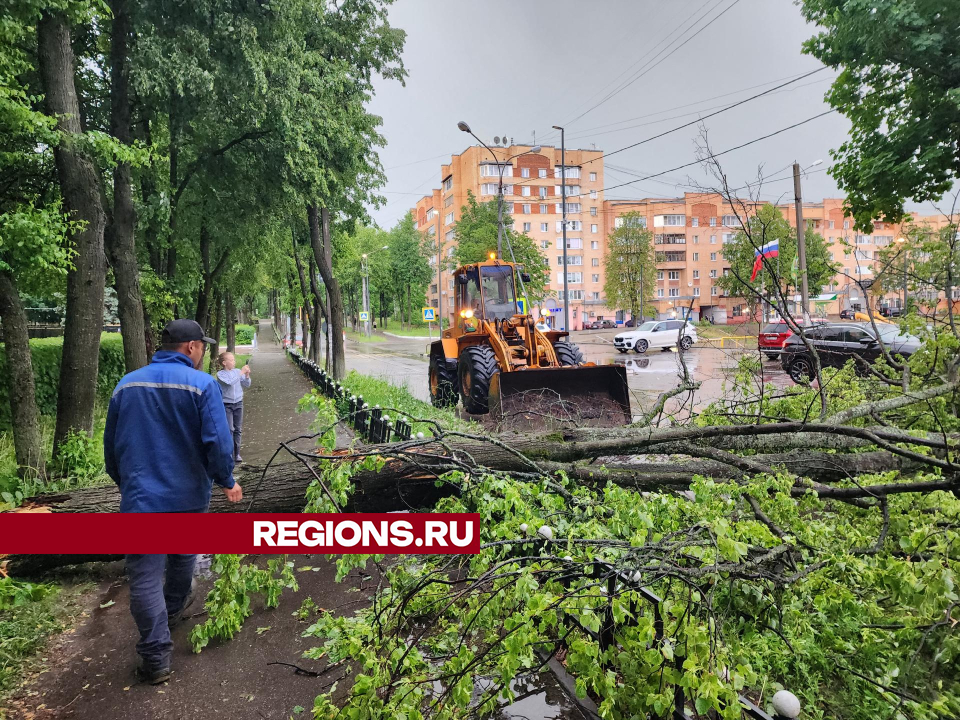 Фото: Екатерина Мелкозерова