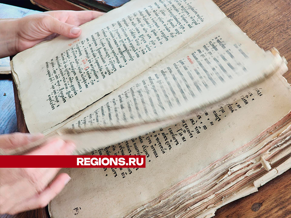 Фото: Юлия Андросова