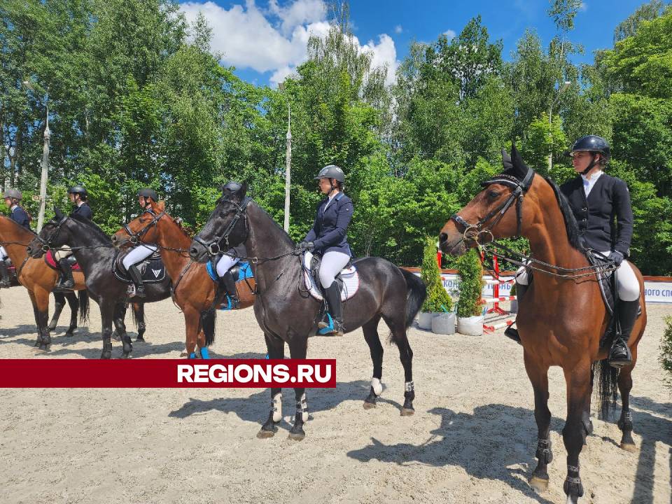 Фото: Мария Андрюхина