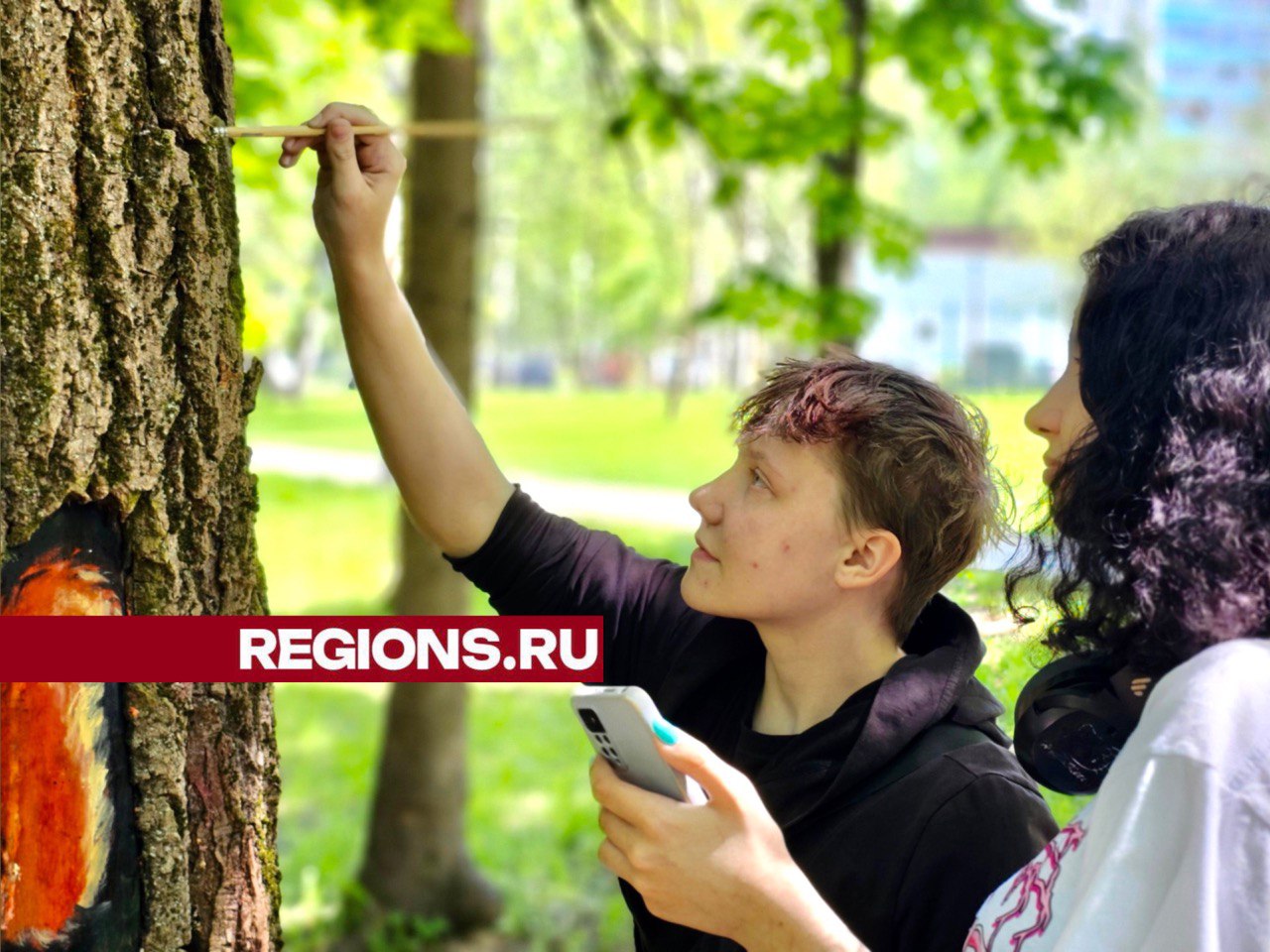 Деревья в Краснознаменске превратились в произведения искусства |  REGIONS.RU / Краснознаменск