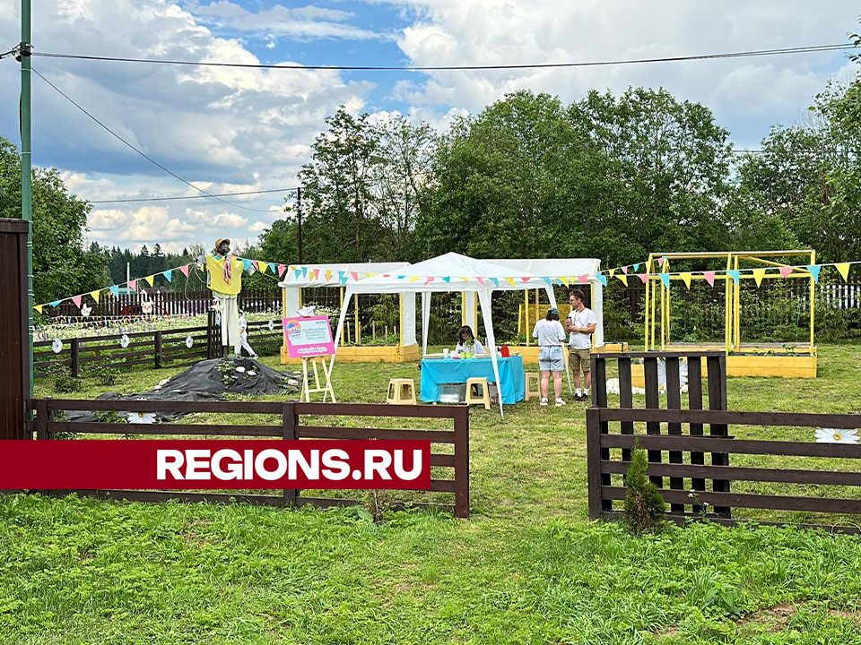 Фото: Данила Кирьянов 