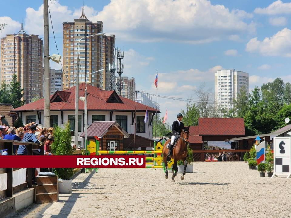 Фото: Мария Андрюхина