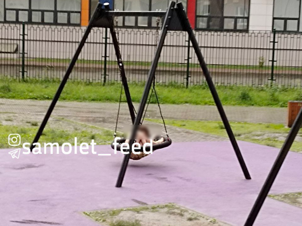 Фото: t.me/samolet_feed