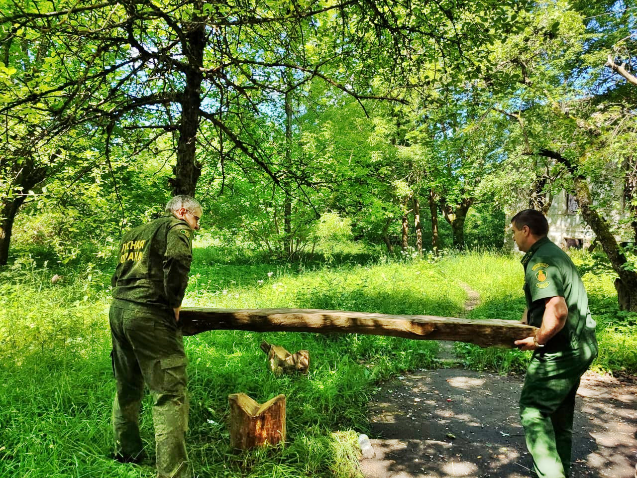 Русский лес» навел порядок в старинной усадьбе под Серпуховом | REGIONS.RU  / Серпухов