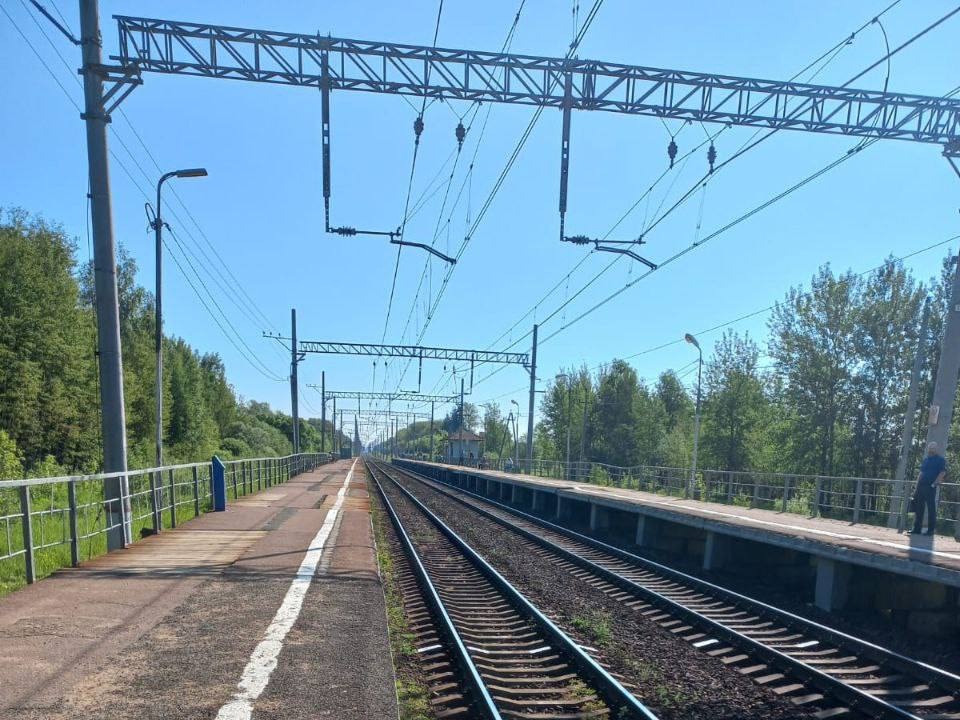 Фото: пресс-служба Администрации Одинцовского городского округа