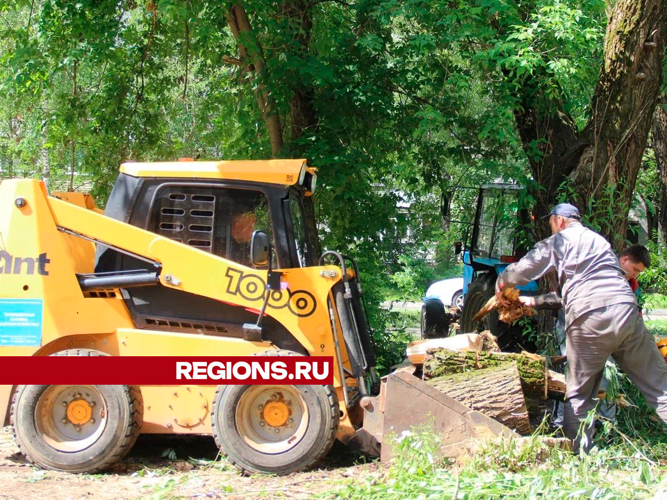 Фото: REGIONS/Василий Тремасов