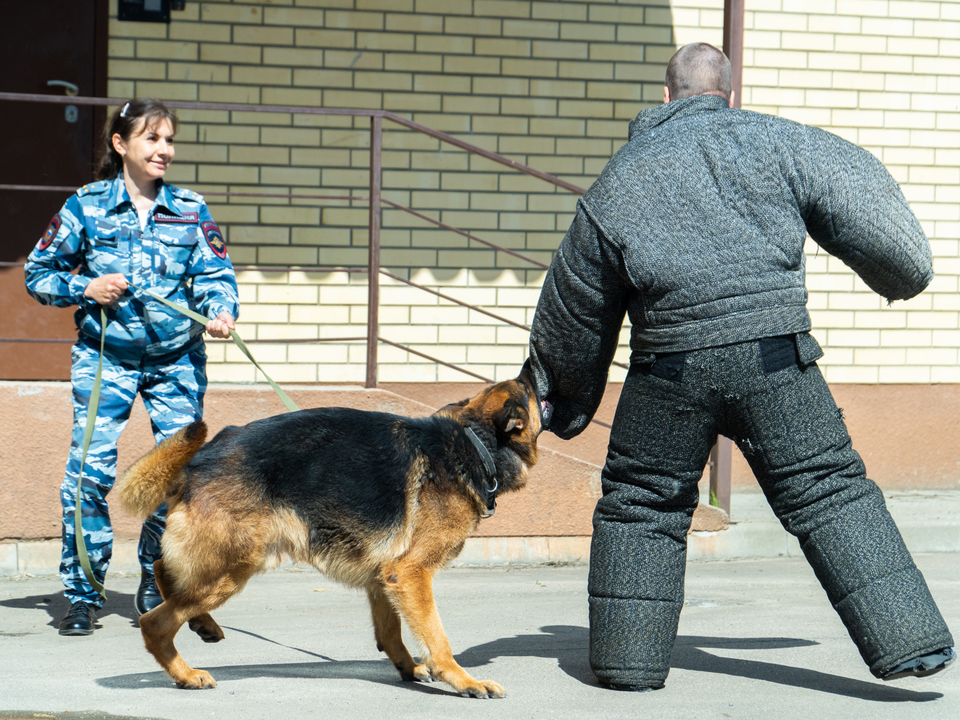 Фото: Полина Ильдуганова