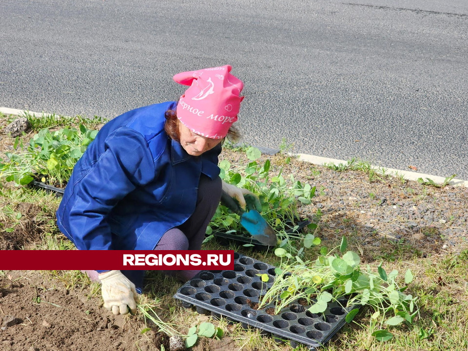 Фото: Анна Мороз