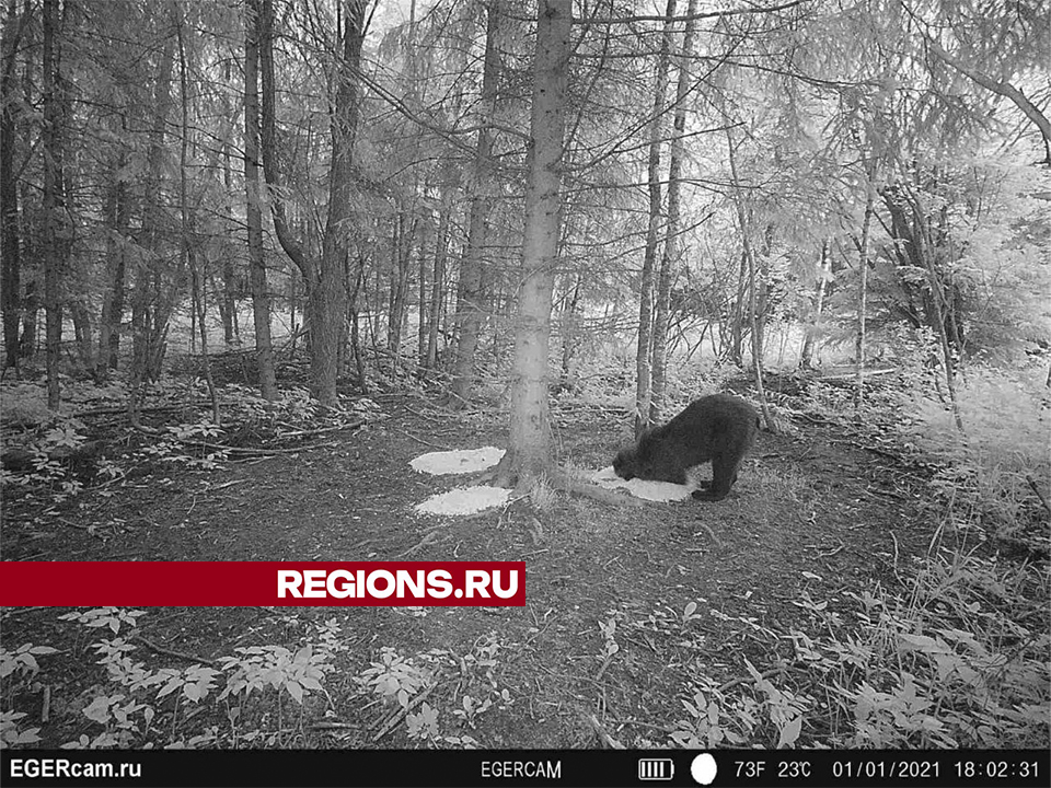 Фото: Дмитровское охотхозяйство