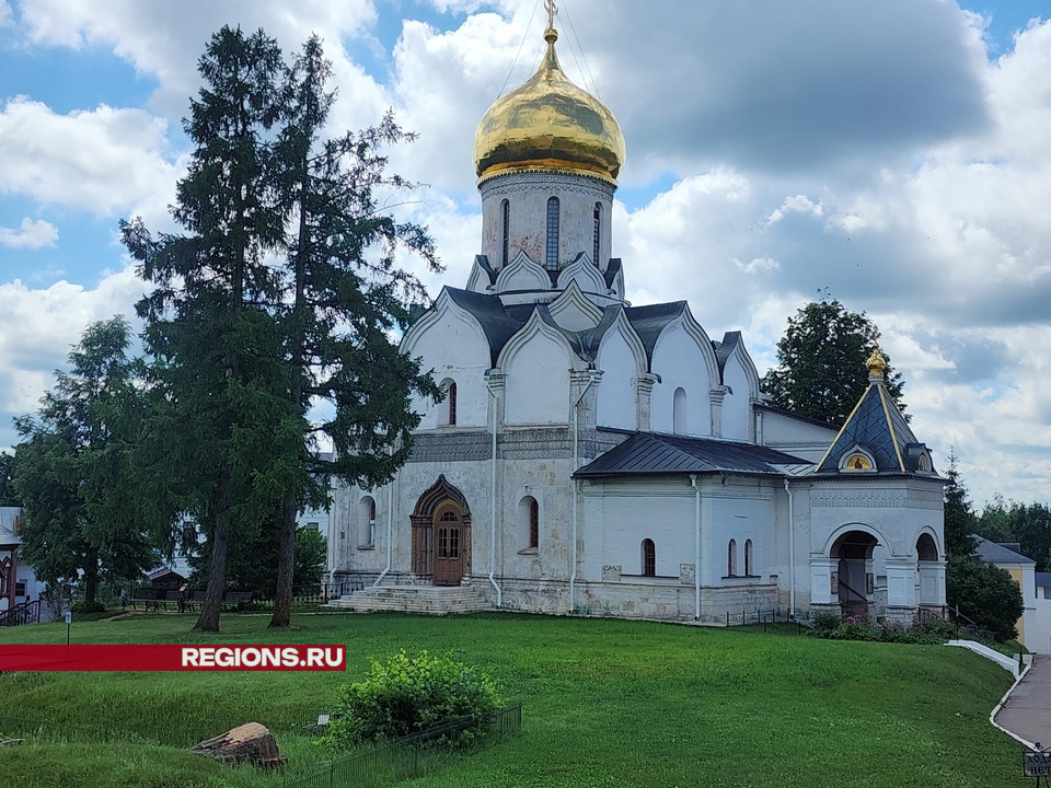 Фото: Хавива Фонина