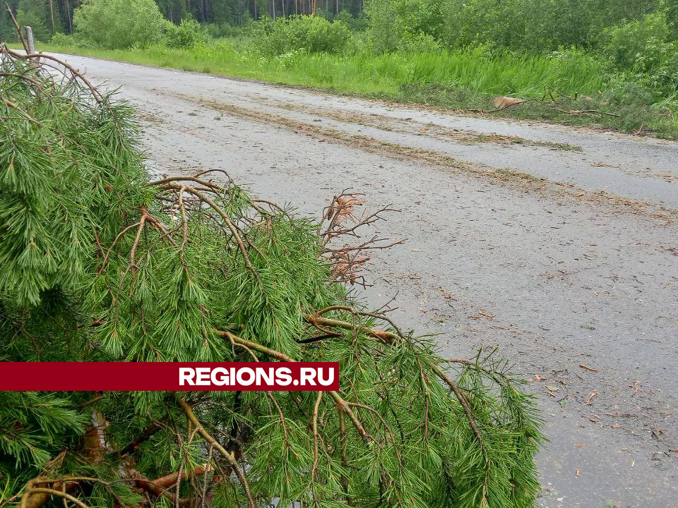 Фото: REGIONS/Василий Тремасов