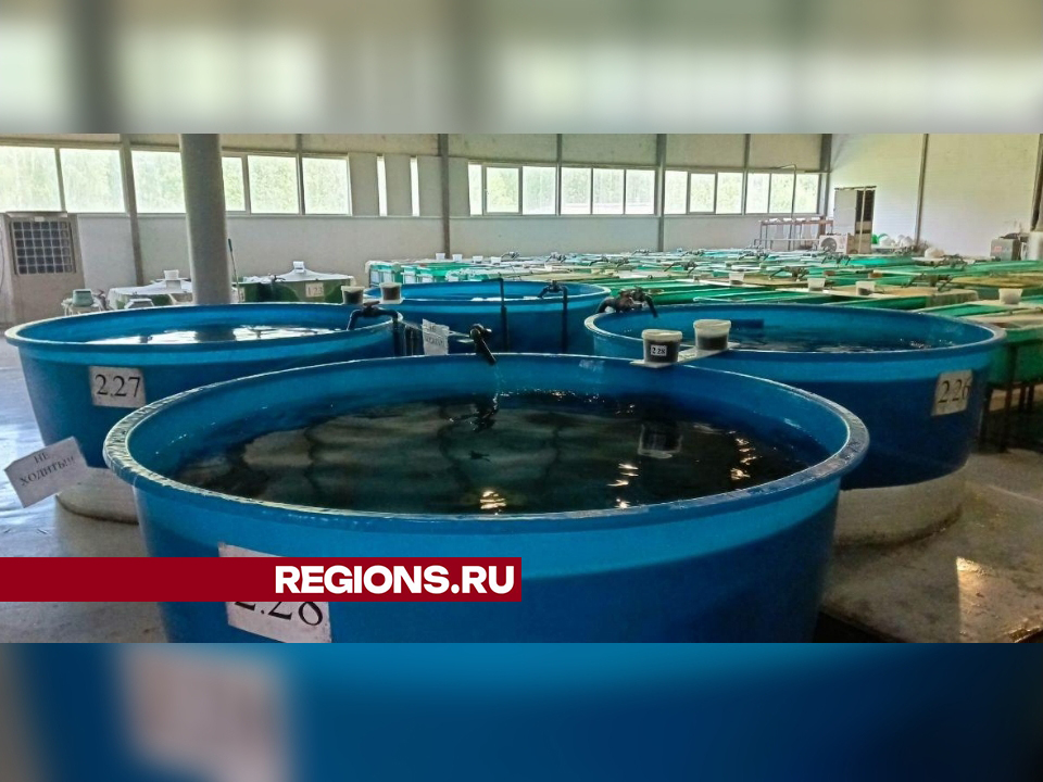Фото: REGIONS/Евгений Рой