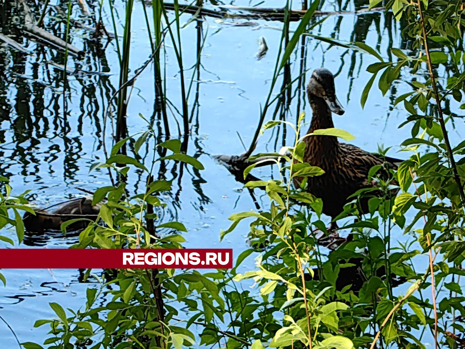 Фото: Елена Катасонова