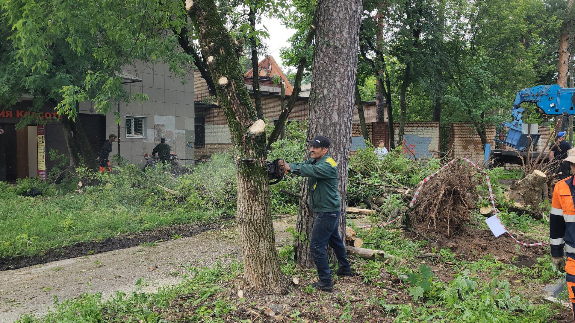 Фото: Дмитрий Павлов