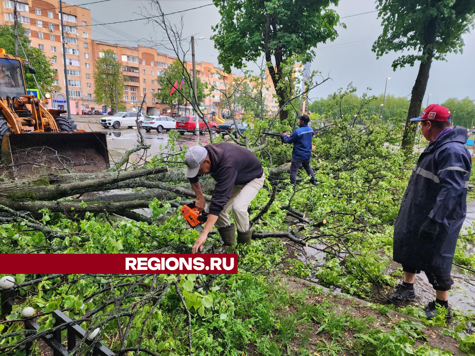 Фото: Екатерина Мелкозерова