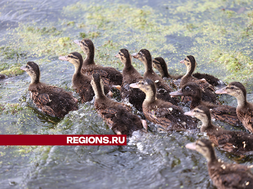 Фото: Ольга Пятикрестовская