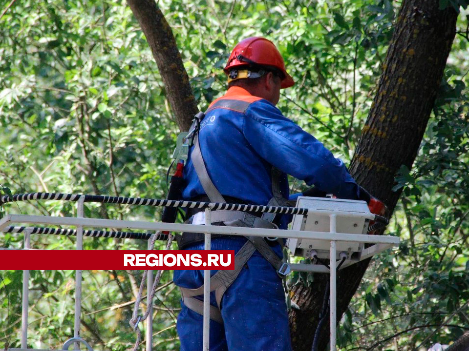 Фото: REGIONS/Василий Тремасов