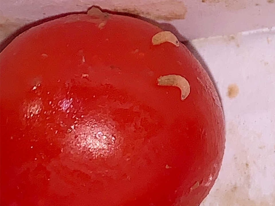 Фото: vk.com/ Подслушано в Менделеево 