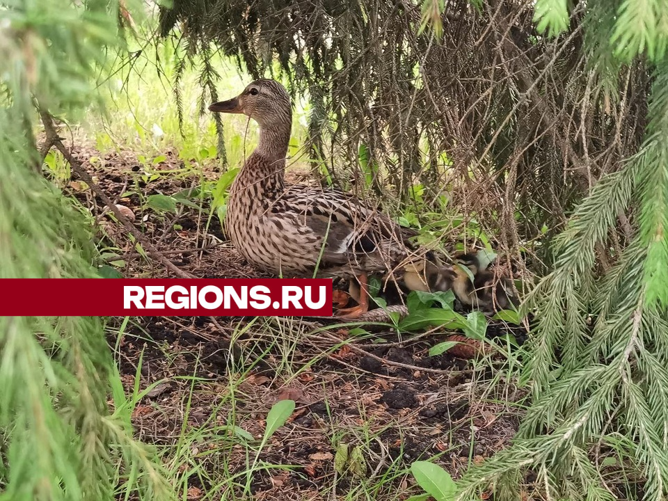 Фото: Дмитрий Зайчиков