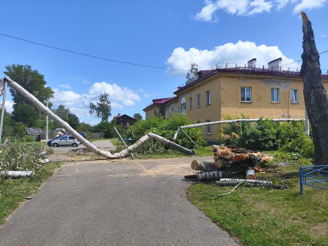 Поваленная ураганом береза сломала теплотрассу в Рошале | REGIONS.RU /  Шатура