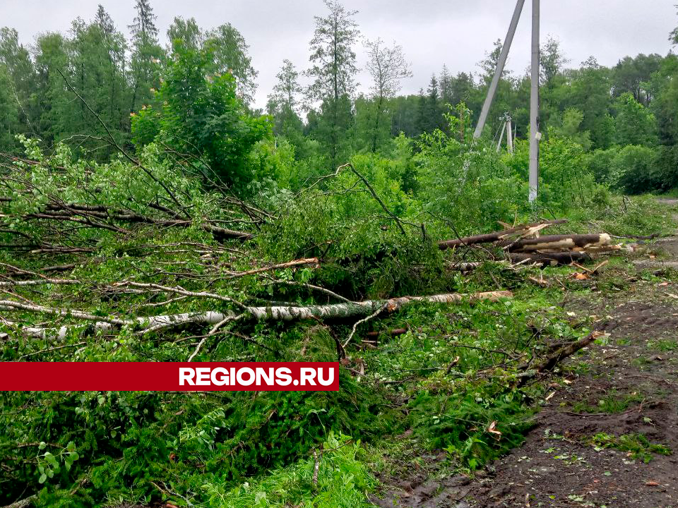 Фото: REGIONS/Василий Тремасов