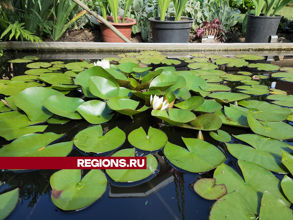 Фото:  Андрей Семибратов